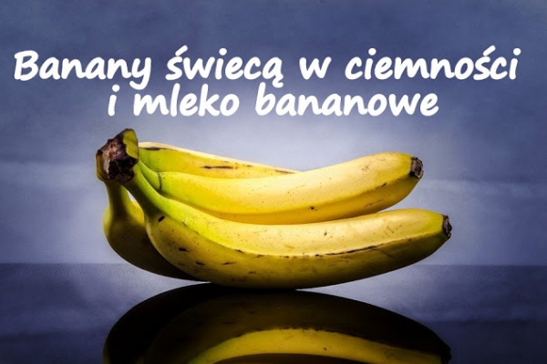 Banany świecą w ciemności i mleko bananowe
