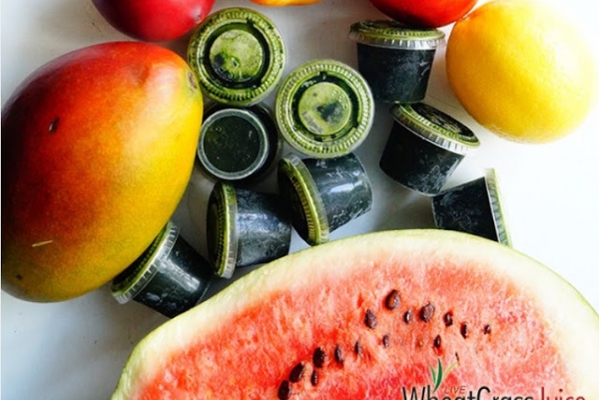 arbuz + mango + nektarynki + cytryna + soki z trawy
