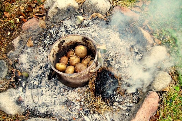 Przywitanie  jesieni … czyli ziemniaczki pieczone w ognisku.