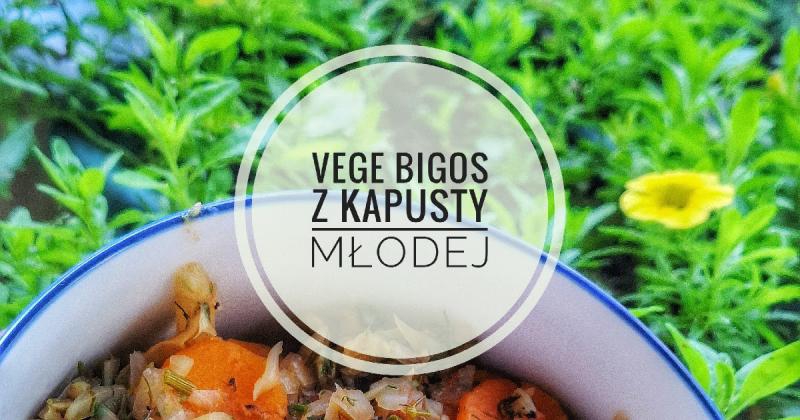 Vege bigos z młodej kapusty