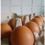 Porady: Gotowanie jajek...