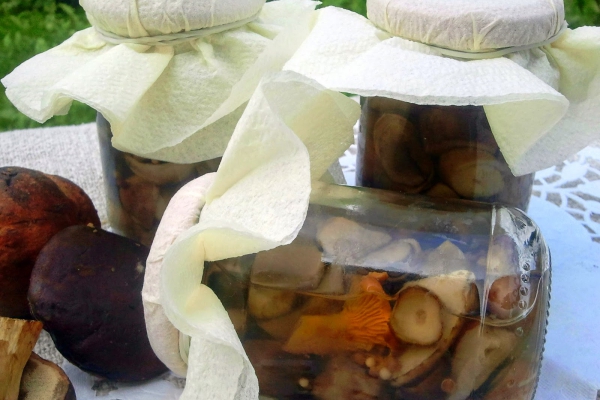 grzybki marynowane z kolendrą