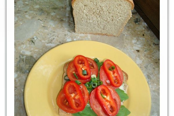 96. Domowy chlebek i kanapka z rukolą i pomidorem