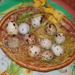 Przepiórcze jajka