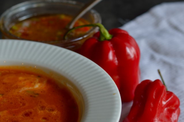 Zupa pomidorowa z suszonymi pomidorami i pikantną salsą