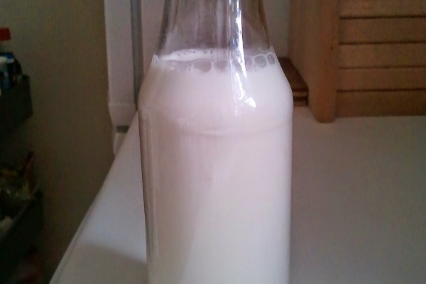 Mleko z orzechów nerkowca