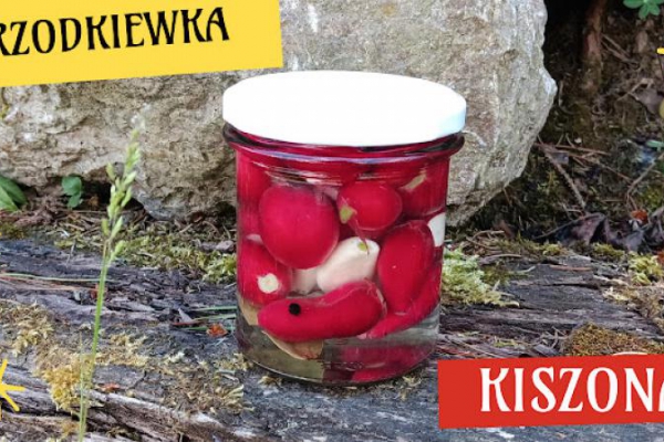 Kiszona rzodkiewka