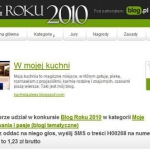 Blog Roku 2010