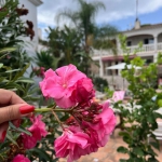 W andaluzyjskim domu...