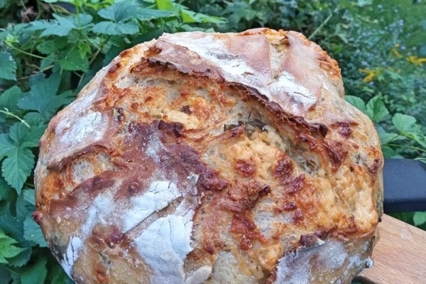 Chleb na zakwasie z jalapeño i cheddarem
