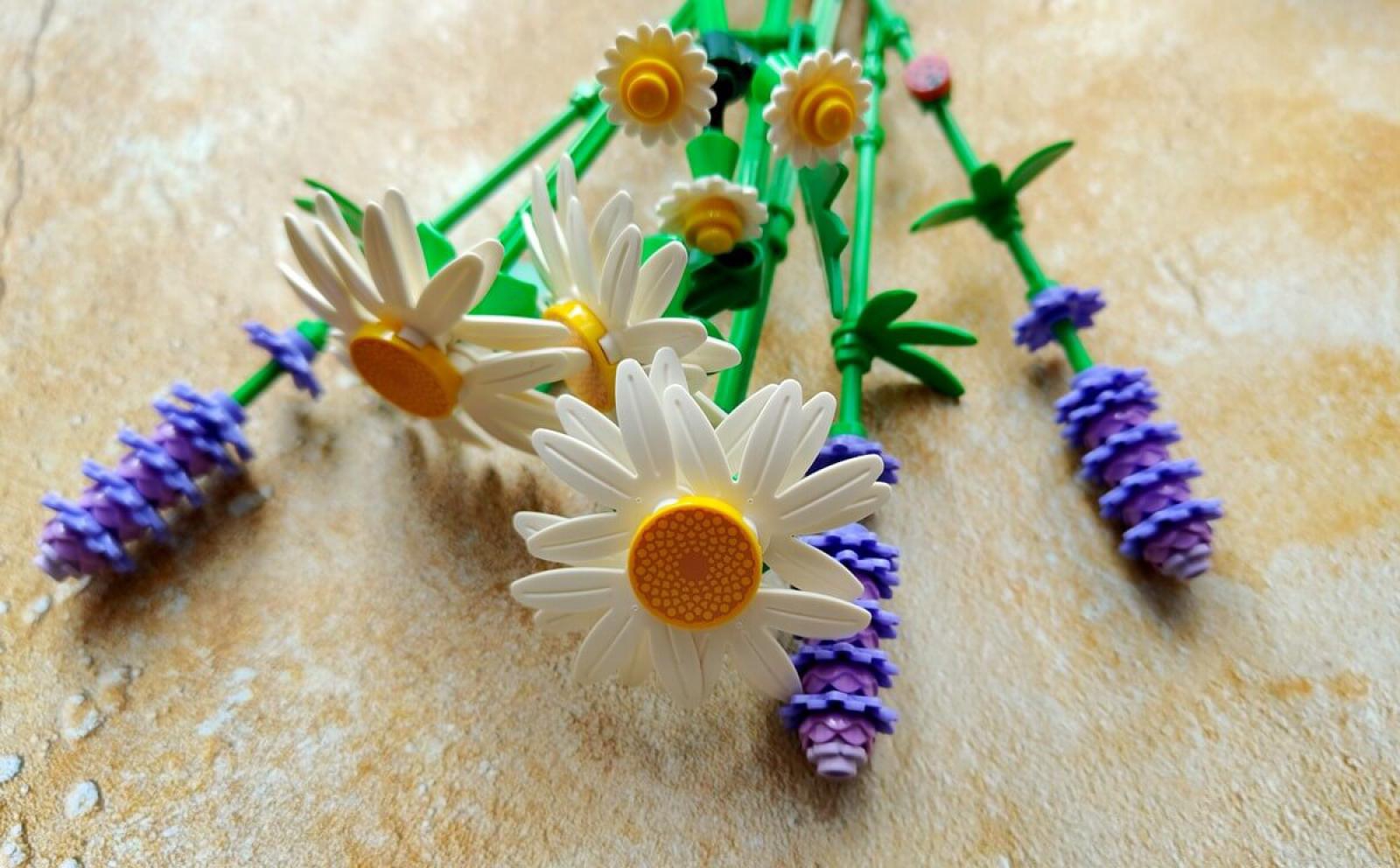 LEGO Botanical Collection. Stokrotki 