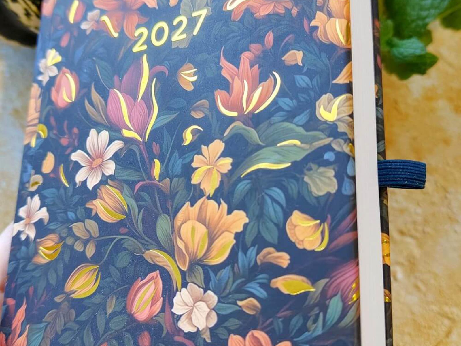 Kwiatowy hit na 2027 – recenzja kalendarza Albi