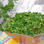 Śledzie z marchewką,...