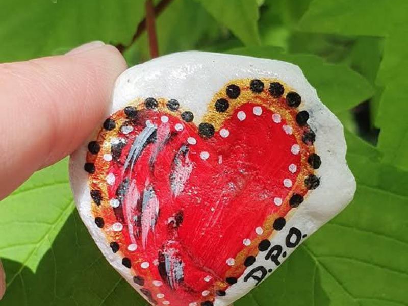 Kamyczki wędrują po świecie