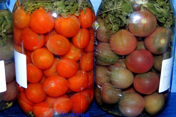 Kiszone pomidory koktajlowe