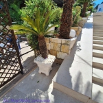 Czy na Corfu? czy do...
