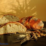 Chleb długorosnący...
