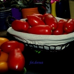 Suszone pomidory w...