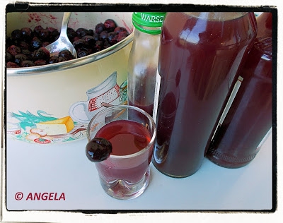 Nalewka z owoców tarniny  - Blackthorn Liquor - Liquore prugnolino