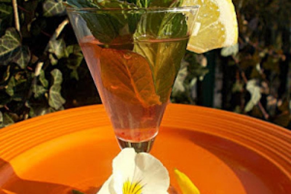 Lemoniada miętowo-kwiatowa - Mint And Flower Lemonade - Limonata alla menta e fiori