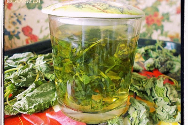 Herbatka wzmacniająca z bluszczyka kurdybanka - Ground Ivy Infusion - Tisana dell edera terrestre