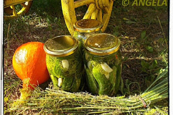 Ogórki kiszone tradycyjnie - Sour Cucumbers Recipe - Cetrioli in salamoia