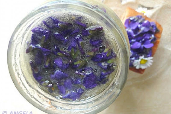 Miód fiołkowy - Violets Honey Recipe - Miele alle violette