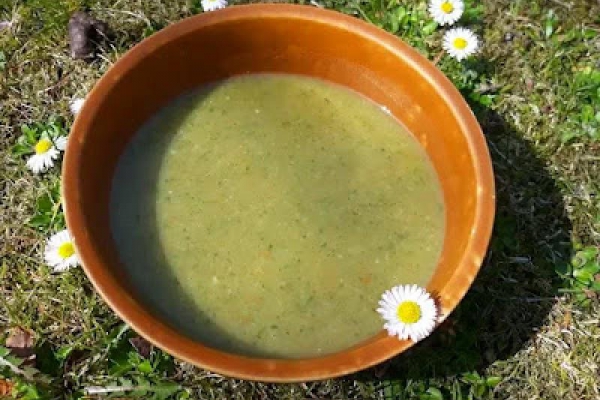 Zupa krem z dzikich roślin jadalnych - Wild Edible Plant Soup - Vellutata di piante spontanee commestibili