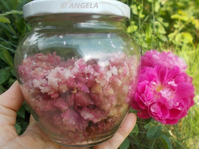 Cukiereczki różane - Rose Petal Candies - Caramelle di rosa