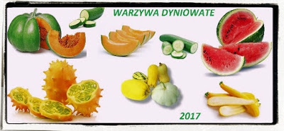 Zaproszenie do akcji kulinarnej  Warzywa dyniowate 2017