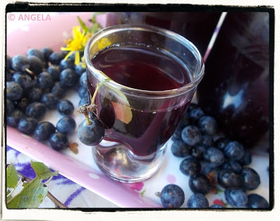 Sok ze śliwy tarniny - Blackthorn Fruit Syrup Recipe - Sciroppo di prugnolo