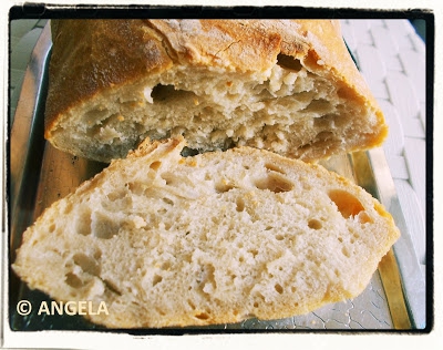 Chleb pszenny nocny - Pane veloce con riposo notturno - No-Knead Bread Recipe