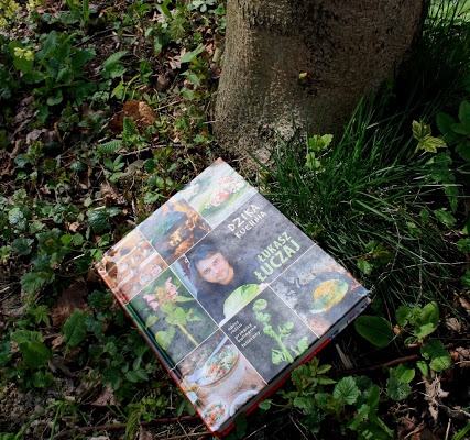 Recenzja książki  Dzika kuchnia  Łukasza Łuczaja.