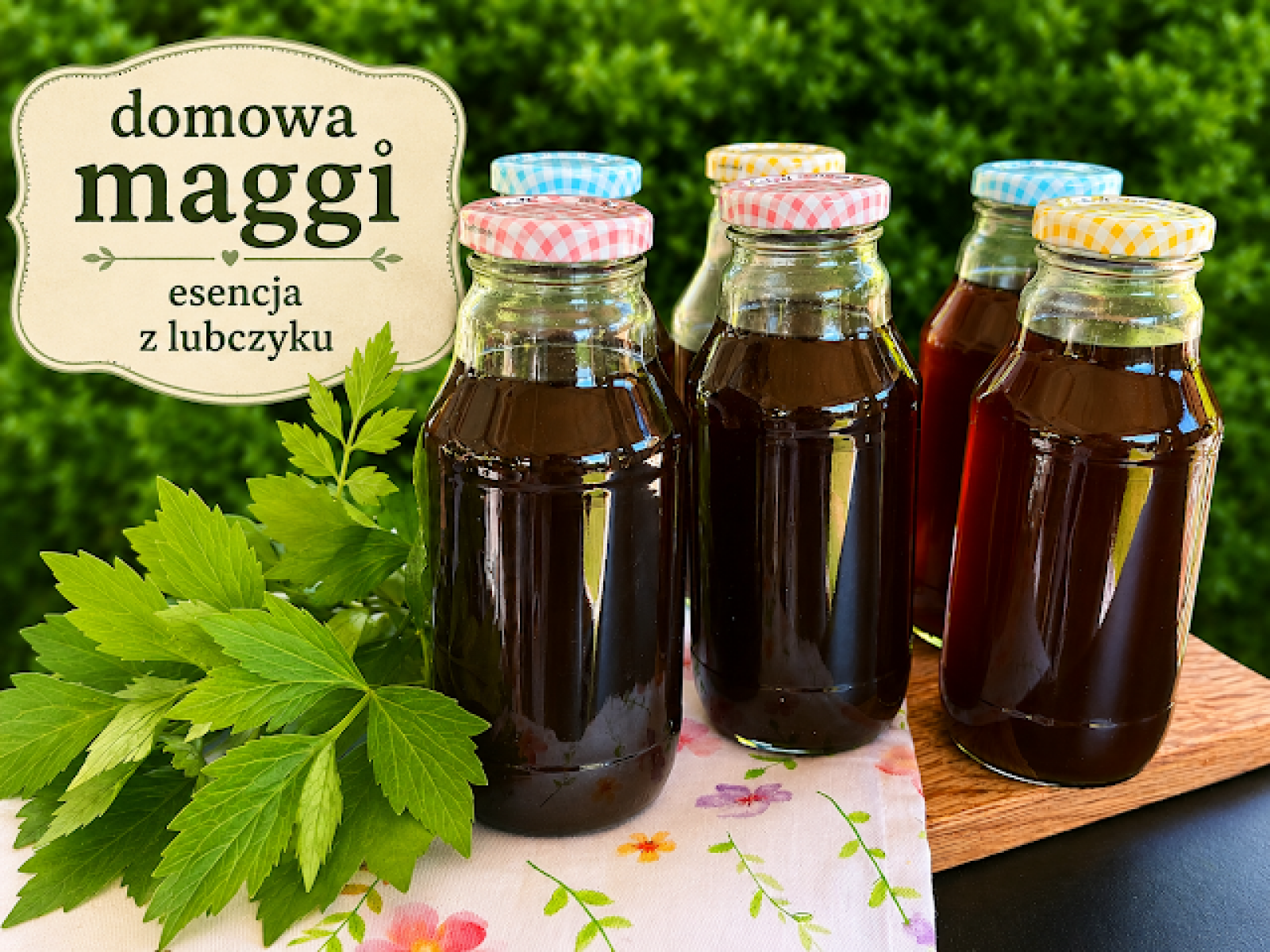 Domowa maggi esencja do zup z lubczyku
