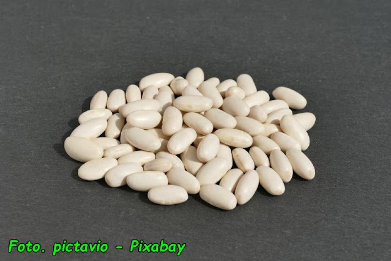 Jak przechowywać suchą fasolę.