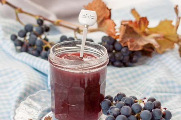 Domowy dżem z winogron bez cukru – galaretka winogronowa z soku