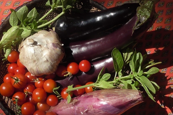 Cyganka: bakłażany duszone z pomidorami, czosnkiem i ziołami.