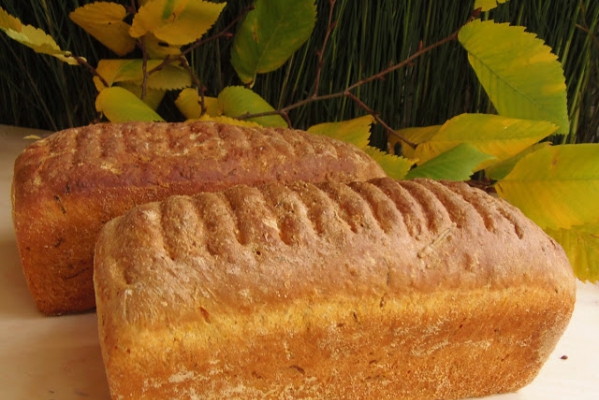 Chleb tostowy orkiszowy na drożdżach z tartą dynią, z mąką z pszenicy durum i mąką z pestek dyni