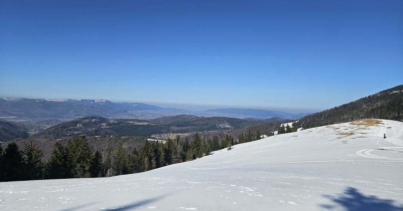 Rysianka i burgery niekapki