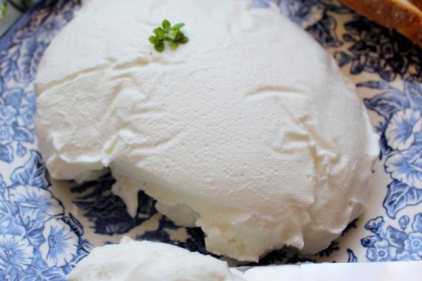 Labneh – domowy ser z jogurtów greckich