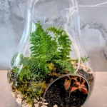 Las w szkle - zrób to...