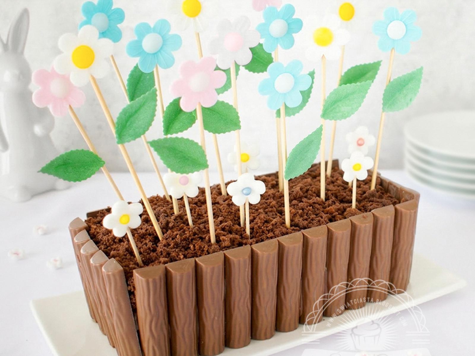 Babka czekoladowa doniczka