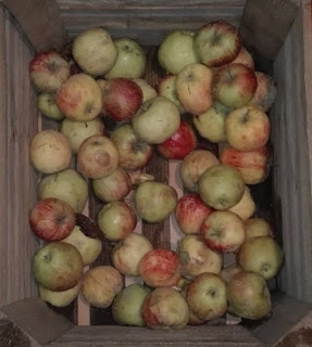 Jak zrobić dżem jabłkowy?