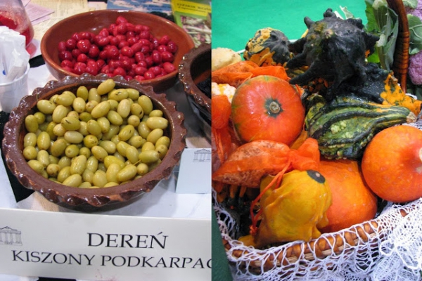 Targi żywności Natura Food w Łodzi 2013 (fotorelacja)