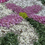 Dywany kwiatowe -...