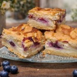 SERNIK Z BORÓWKAMI I...